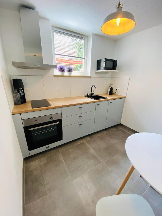 Apartment Regener Леррах Екстер'єр фото